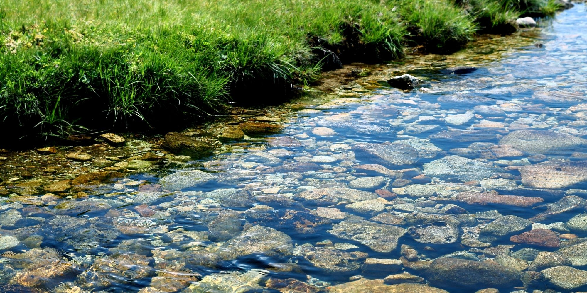 Progetto Monitoraggio automatico dell’impatto ambientale del processo agricoli sulle acque fluviali
