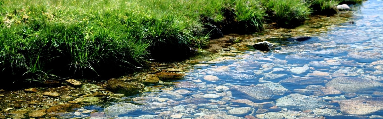 Progetto Monitoraggio automatico dell’impatto ambientale del processo agricoli sulle acque fluviali