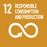 Consumo e produzione responsabili (GOAL 12)